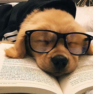 Meet your Posher, Thiago